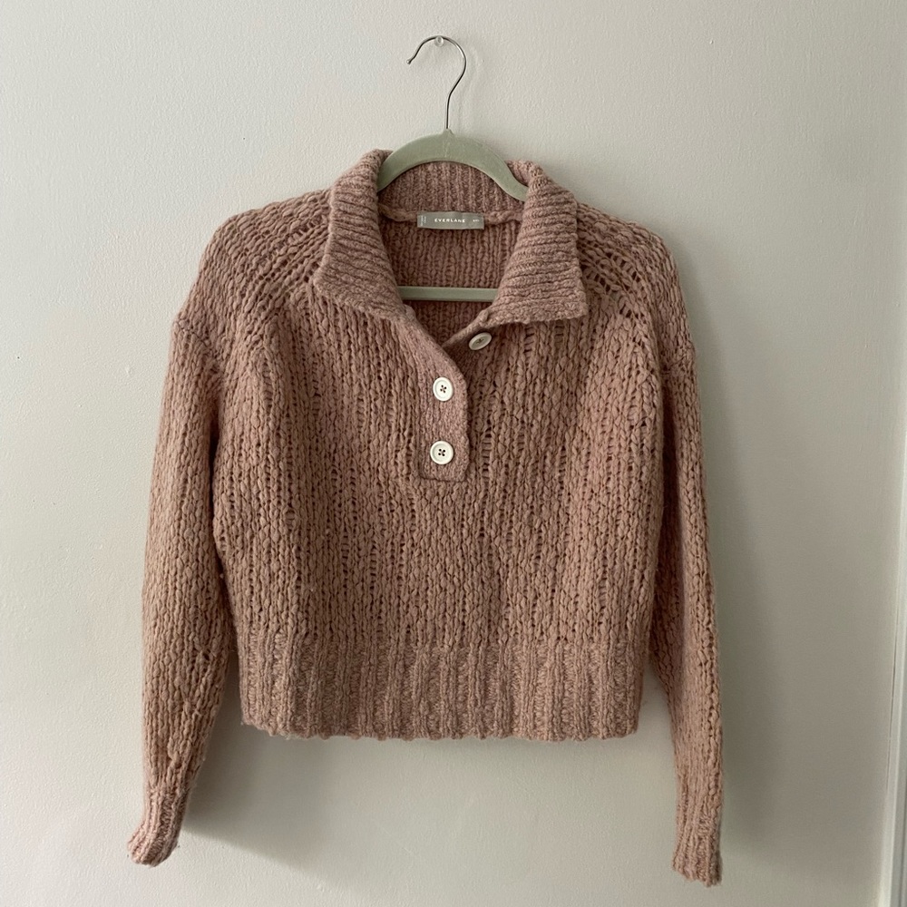 Everlane The Lofty-Knit Henley